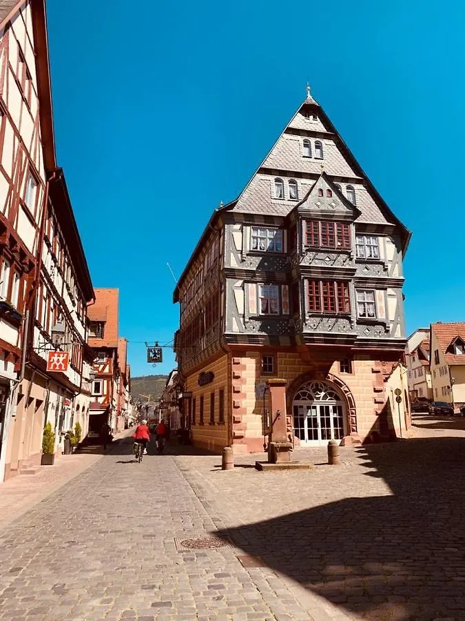 Guest house Ferienwohnung Am Brunnen Grossheubach