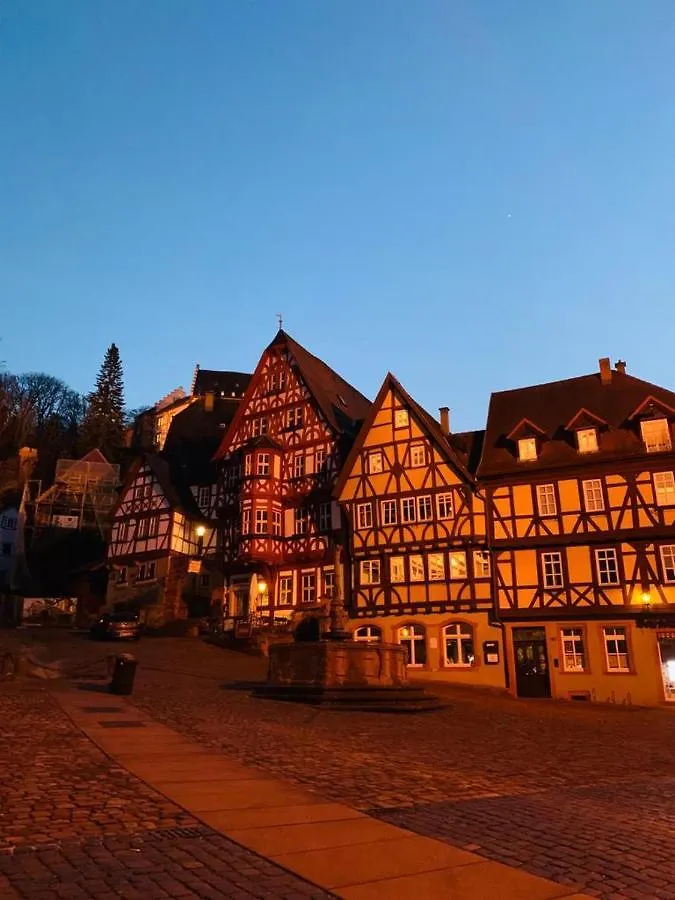 Ferienwohnung Am Brunnen Grossheubach