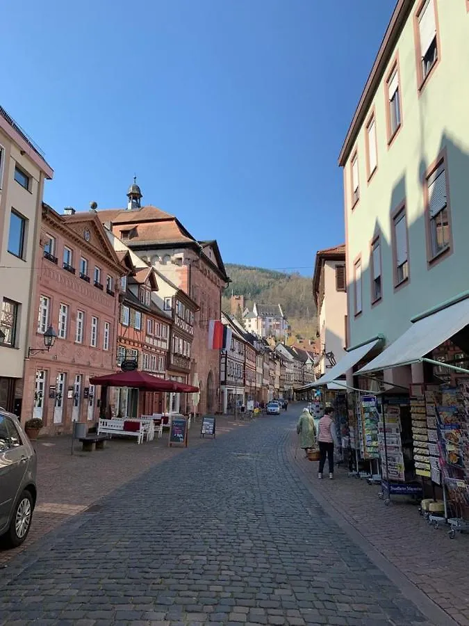 Fremdenzimmer am Brunnen Großheubach Gasthof