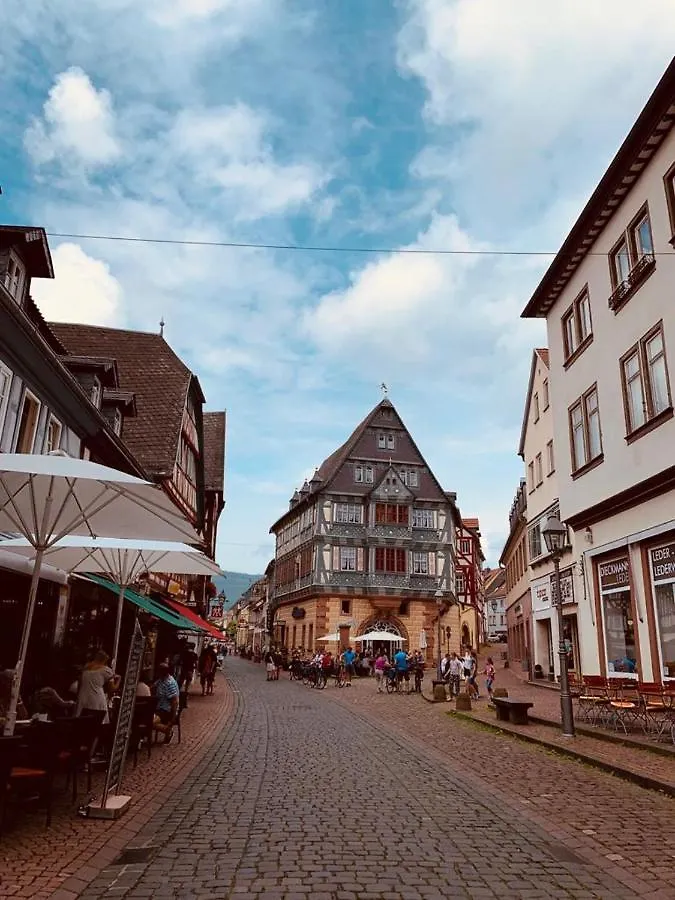 Pensionat Ferienwohnung Am Brunnen Großheubach
